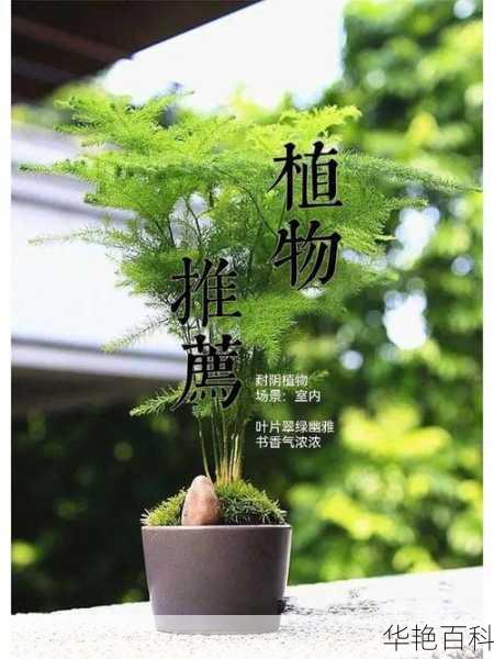 家居园艺产品知识培训(有什么秘诀吗)