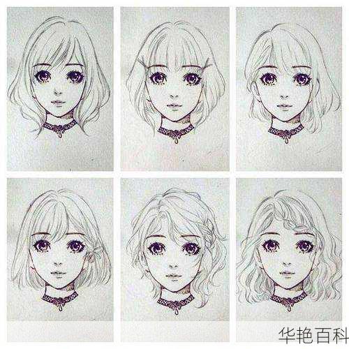 美容美发知识科普绘画(先学学手绘美发知识吧)