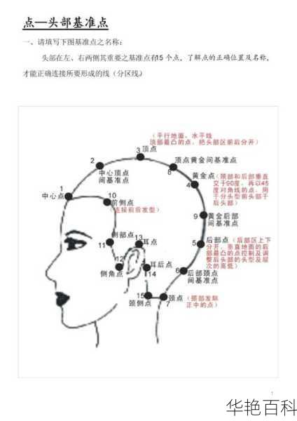 美容美发知识汇总图(你准备好了吗)