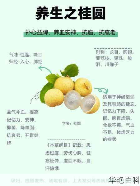 桂圆哪个时间吃最好(桂圆适合什么时间吃最有营养)