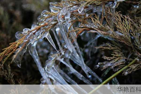 滴水成冰打一最佳生肖-滴水成冰的意思