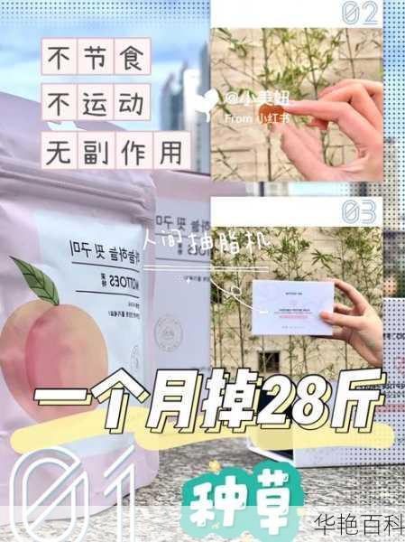 小美减肥晚餐怎么吃不胖—小美减肥药多少钱一盒