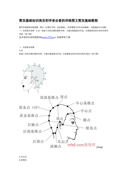 美容美发行业入门知识(美容美发基本知识)