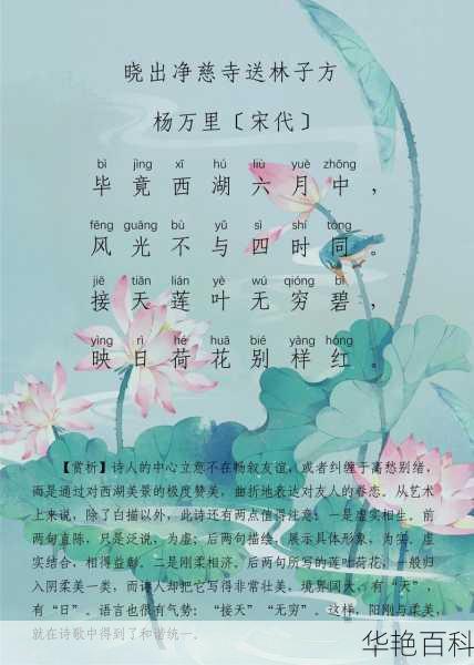 “接天莲叶无穷碧”：杨万里笔下荷花之美与全诗赏析