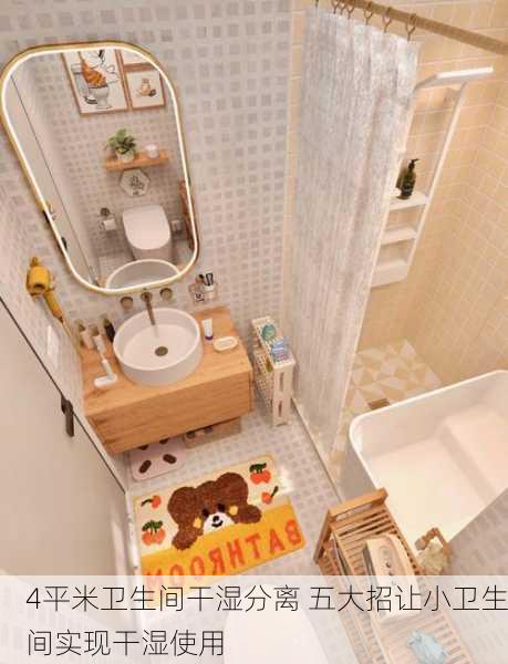 4平米卫生间干湿分离 五大招让小卫生间实现干湿使用