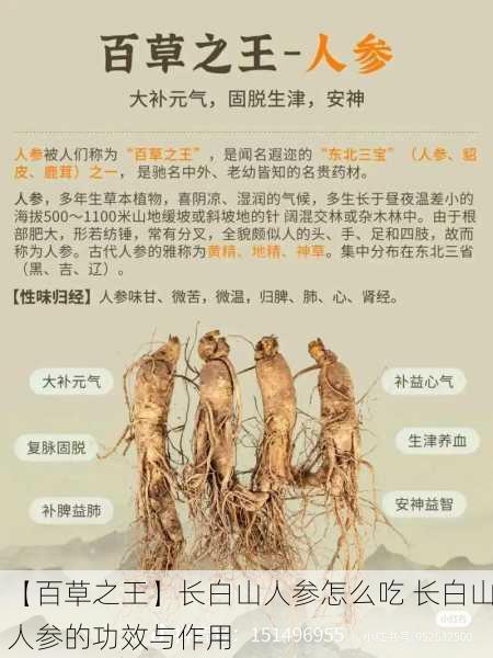 【百草之王】长白山人参怎么吃 长白山人参的功效与作用