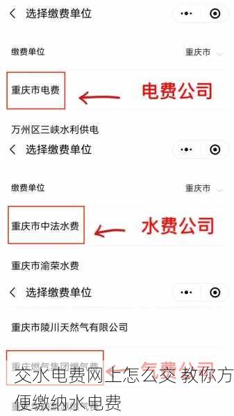 交水电费网上怎么交 教你方便缴纳水电费