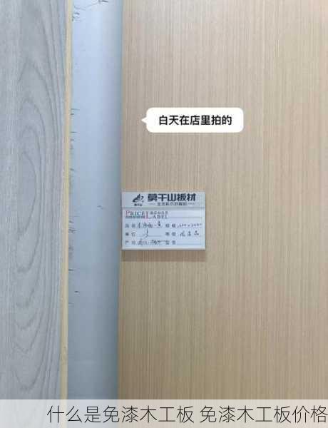 什么是免漆木工板 免漆木工板价格