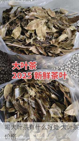 喝大叶茶有什么好处 大叶茶价格