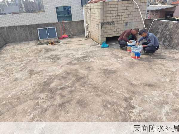 天面防水补漏