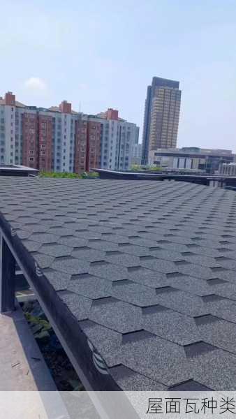 屋面瓦种类