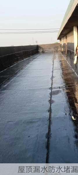 屋顶漏水防水堵漏