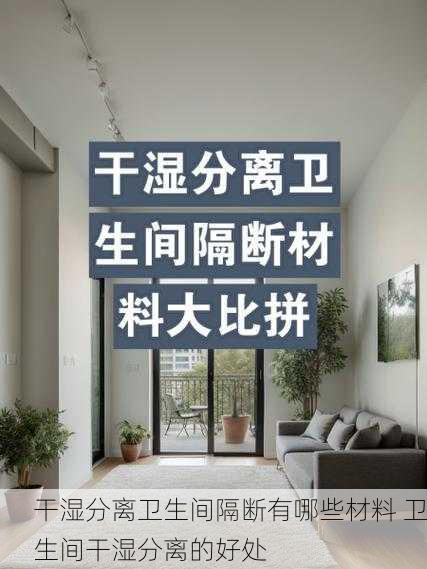干湿分离卫生间隔断有哪些材料 卫生间干湿分离的好处