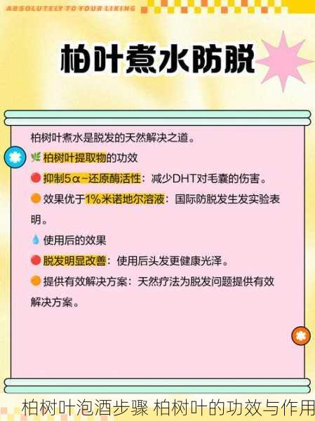 柏树叶泡酒步骤 柏树叶的功效与作用