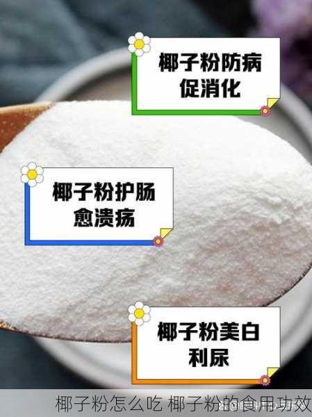 椰子粉怎么吃 椰子粉的食用功效