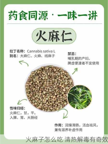 火麻子怎么吃 清热解毒有奇效