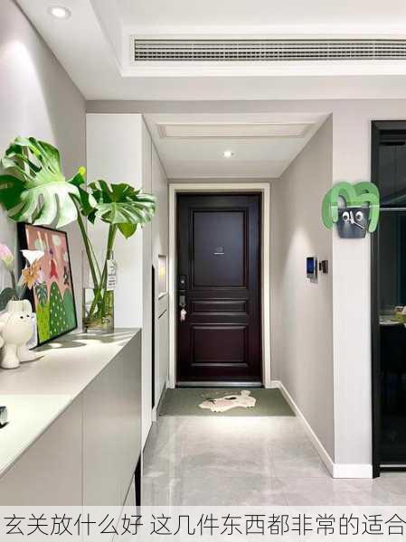 玄关放什么好 这几件东西都非常的适合