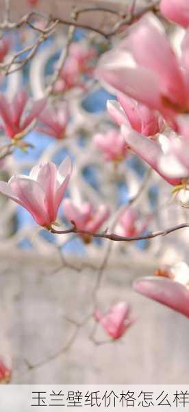 玉兰壁纸价格怎么样