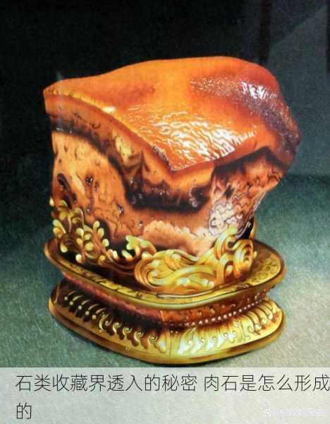 石类收藏界透入的秘密 肉石是怎么形成的