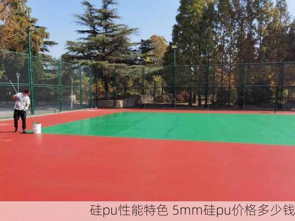 硅pu性能特色 5mm硅pu价格多少钱