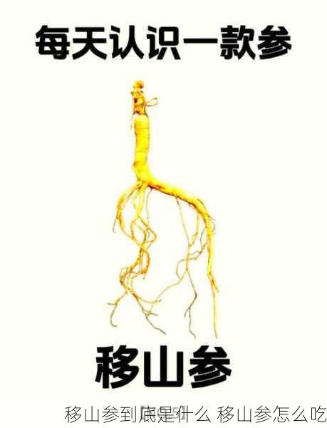 移山参到底是什么 移山参怎么吃