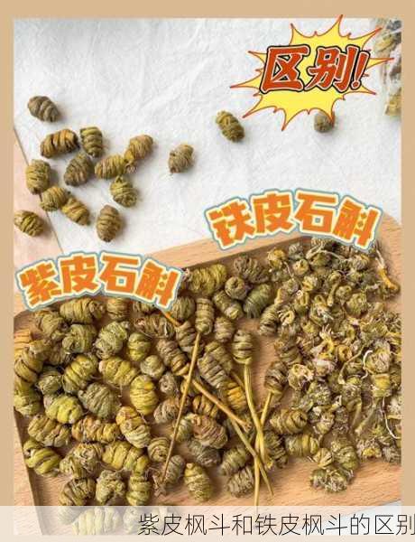 紫皮枫斗和铁皮枫斗的区别