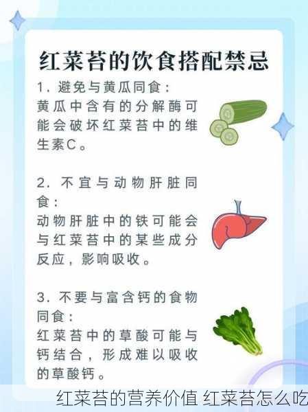 红菜苔的营养价值 红菜苔怎么吃