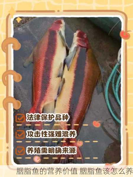 胭脂鱼的营养价值 胭脂鱼该怎么养
