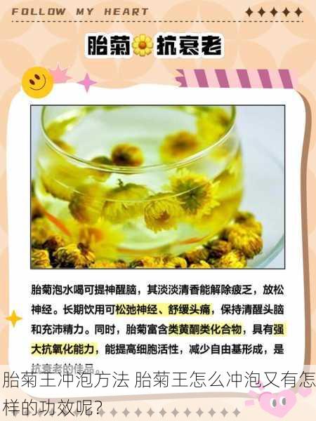 胎菊王冲泡方法 胎菊王怎么冲泡又有怎样的功效呢？