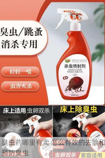 臭虫药哪里有卖 怎么有效的去除和预防臭虫