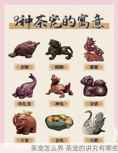 茶宠怎么养 茶宠的讲究有哪些