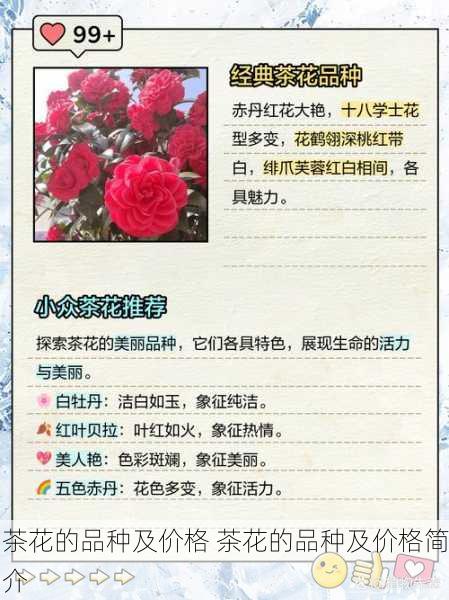 茶花的品种及价格 茶花的品种及价格简介