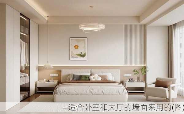 适合卧室和大厅的墙面来用的(图)