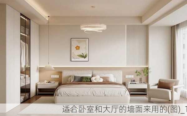 适合卧室和大厅的墙面来用的(图)_1