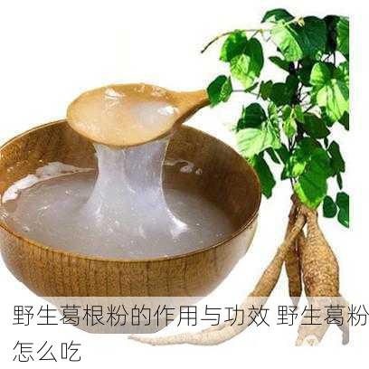 野生葛根粉的作用与功效 野生葛粉怎么吃