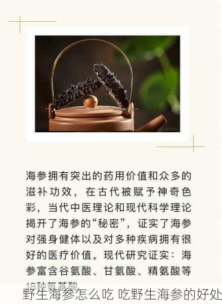野生海参怎么吃 吃野生海参的好处