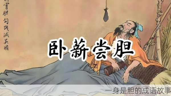 一身是胆的成语故事