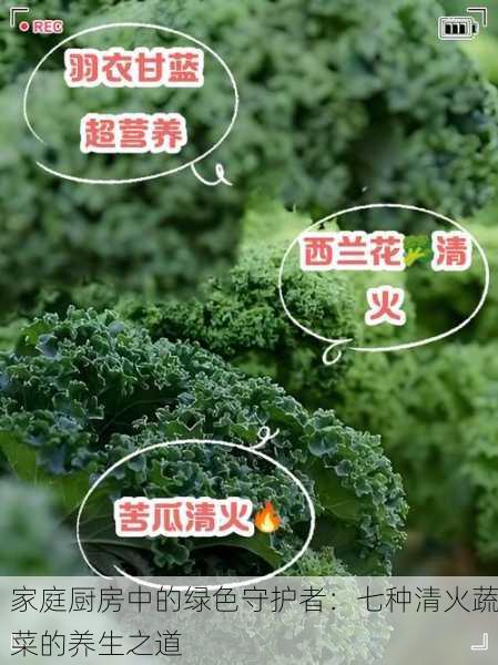 家庭厨房中的绿色守护者：七种清火蔬菜的养生之道