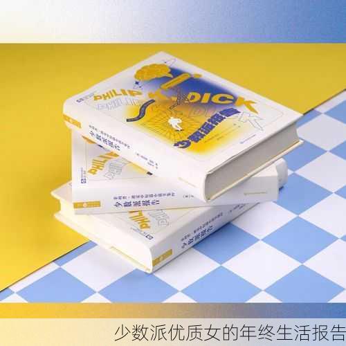 少数派优质女的年终生活报告