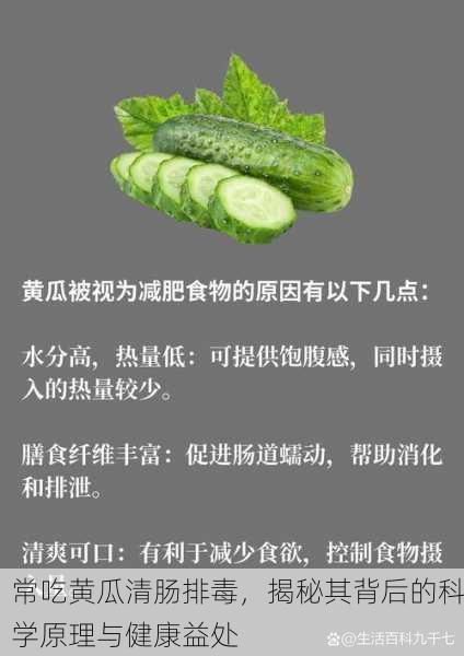 常吃黄瓜清肠排毒，揭秘其背后的科学原理与健康益处