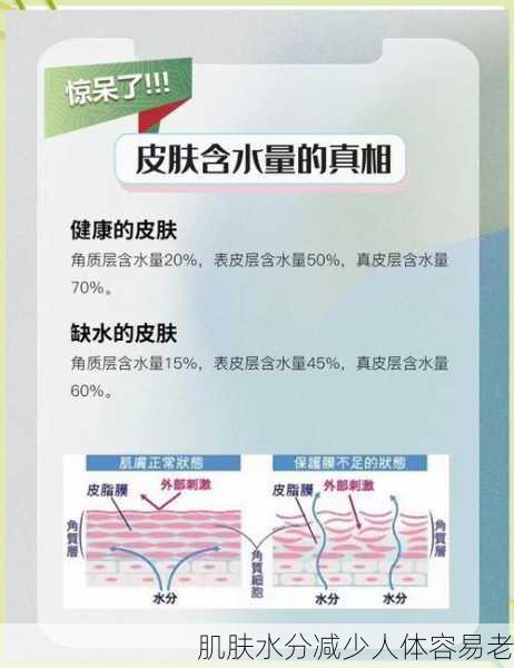 肌肤水分减少人体容易老