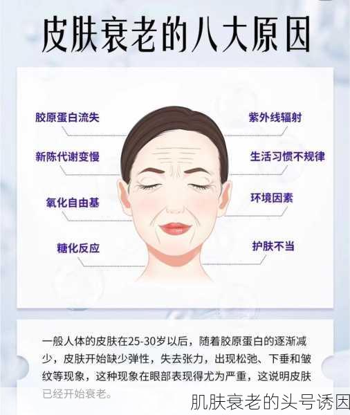 肌肤衰老的头号诱因