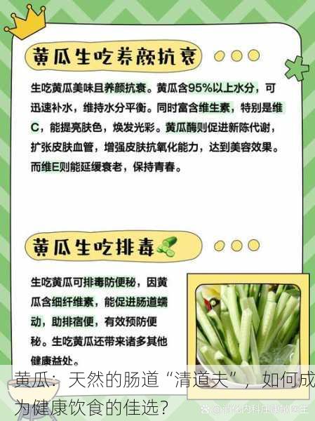 黄瓜：天然的肠道“清道夫”，如何成为健康饮食的佳选？
