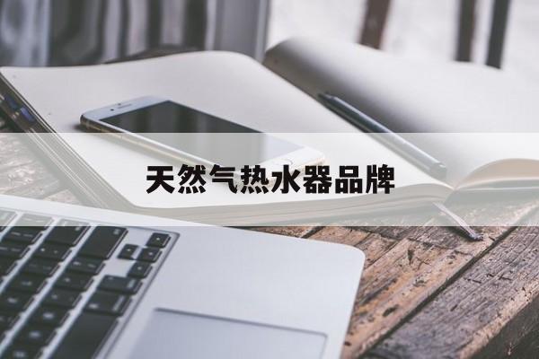 天然气热水器品牌-天然气热水器品牌推荐
