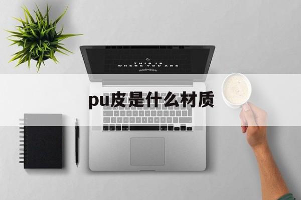 pu皮是什么材质-pu皮是什么材质的包怎么样