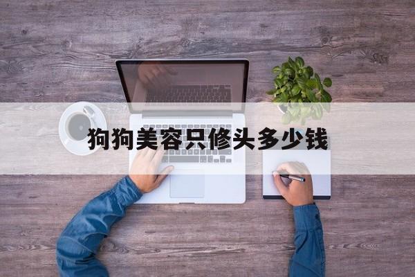 狗狗美容只修头多少钱-狗狗美容剪毛一般多少钱